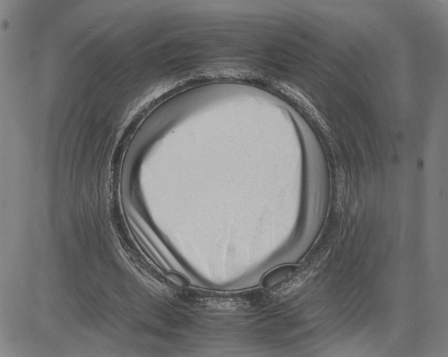 X0000080120439200701051358