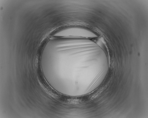 X0000080120448200701051358