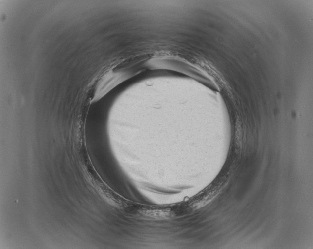X0000080120449200701051358