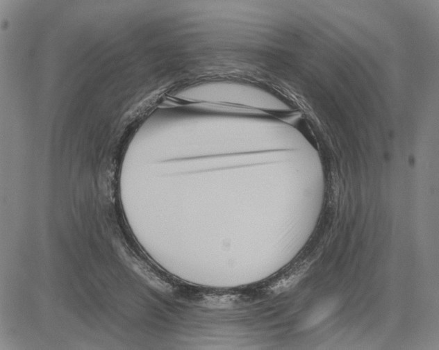 X0000080120450200701051358