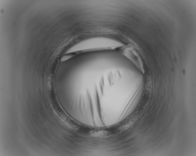 X0000080120452200701051358