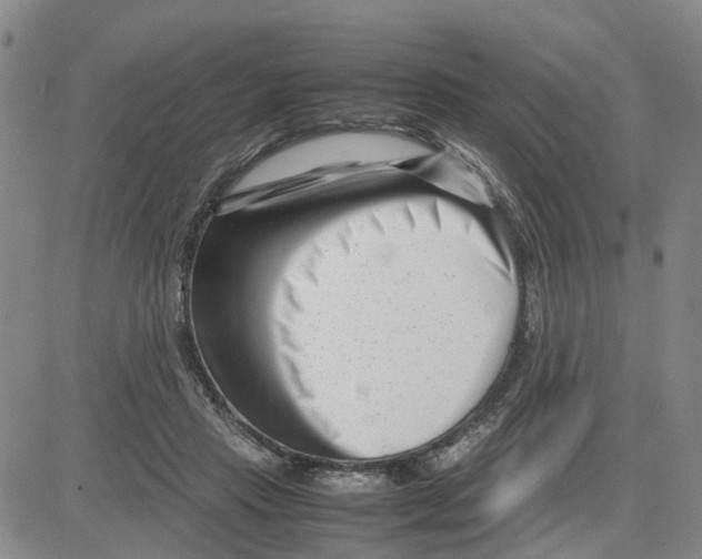 X0000080120453200701051358