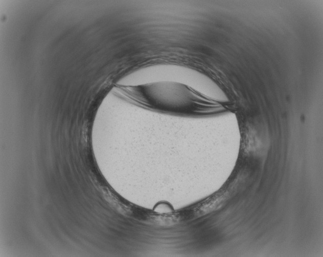 X0000080120466200701051359