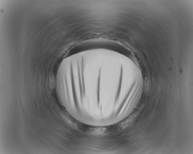 X0000080120474200701051359