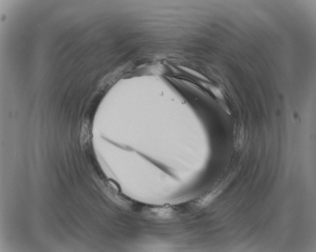 X0000080120478200701051359