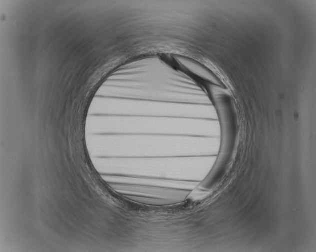 X0000080120481200701051358