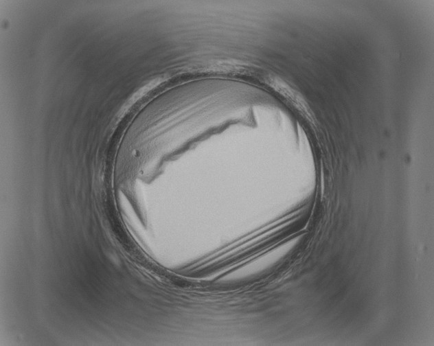 X0000080120483200701051358