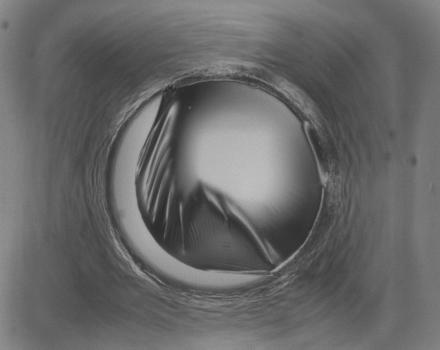 X0000080120485200701051358