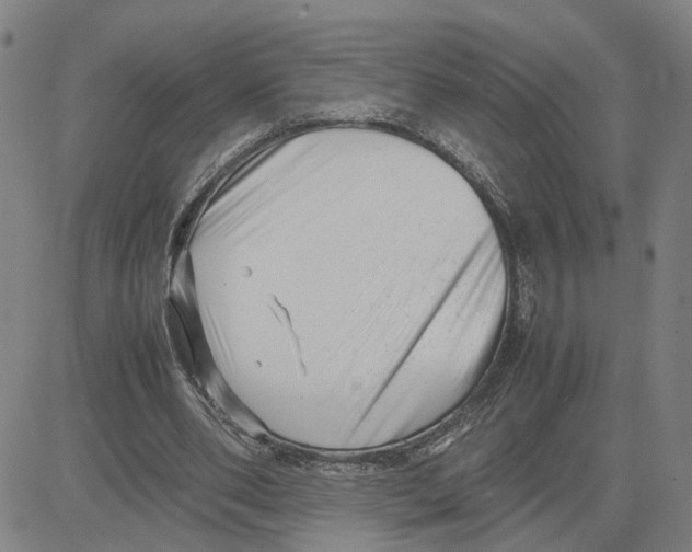 X0000080120486200701051358