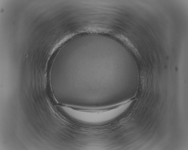 X0000080120488200701051358
