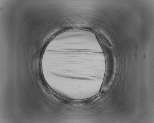 X0000080120491200701051358