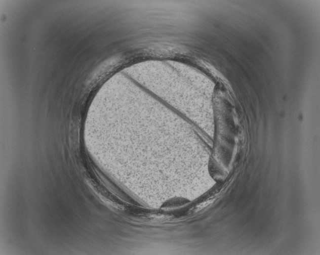 X0000080120493200701051358