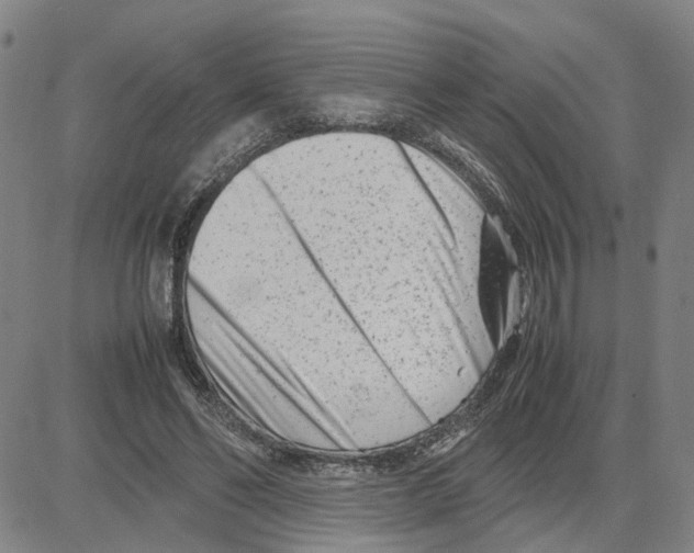 X0000080120494200701051358