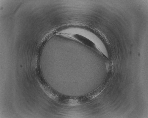 X0000080120496200701051358