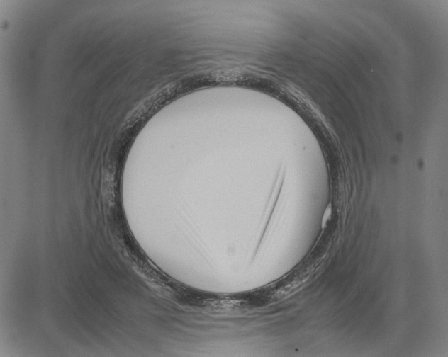 X0000080120497200701051358