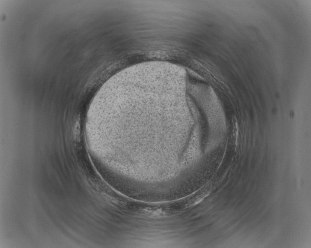 X0000080120502200701051358
