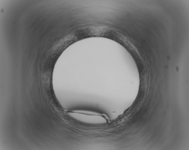 X0000080120505200701051358