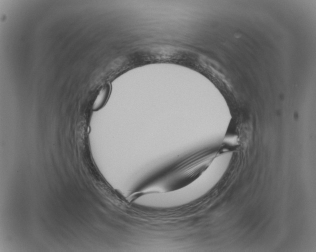 X0000080120509200701051358