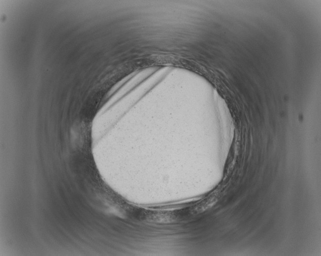X0000080120511200701051358