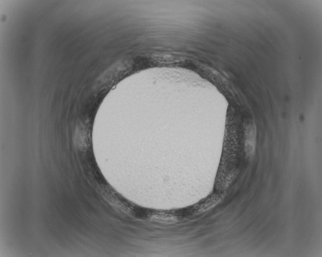 X0000080120515200701051358