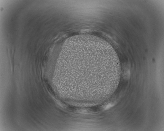 X0000080120523200701051357