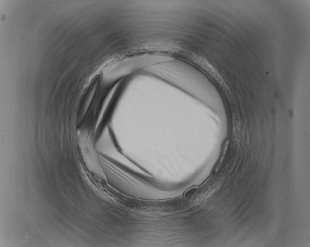 X0000080120530200701051357