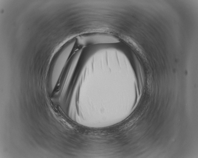 X0000080120532200701051357