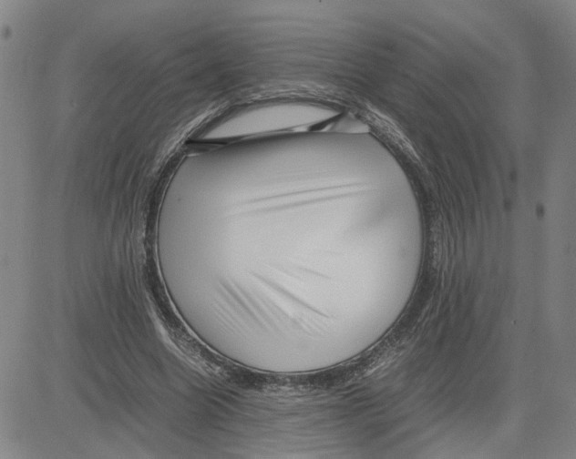 X0000080120538200701051357
