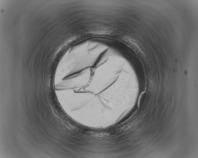 X0000080120539200701051357