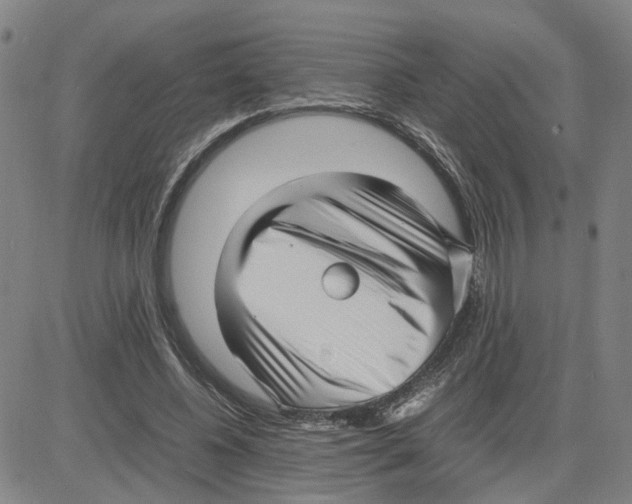 X0000080120540200701051357