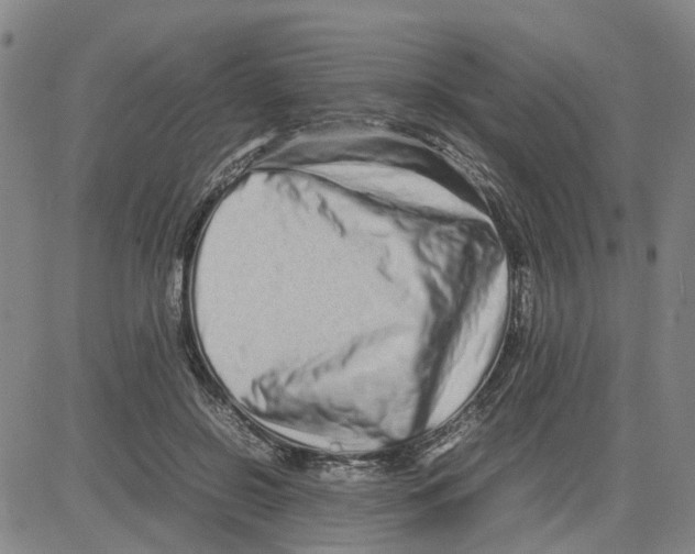 X0000080120550200701051357