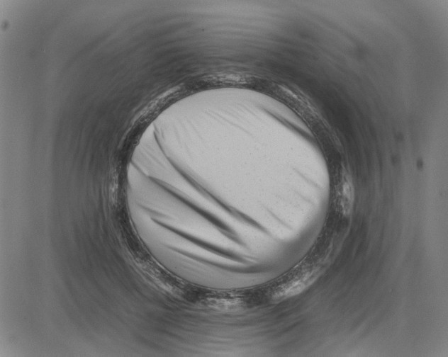 X0000080120552200701051357