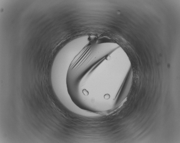 X0000080120556200701051357