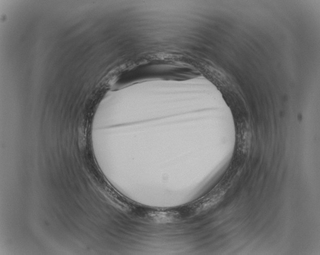 X0000080120558200701051357