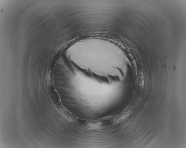 X0000080120560200701051357