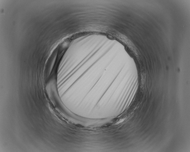 X0000080120580200701051356