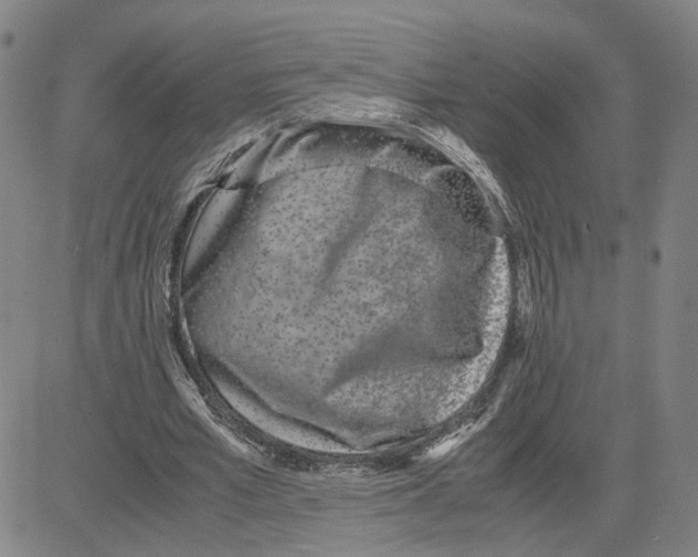 X0000080120581200701051356