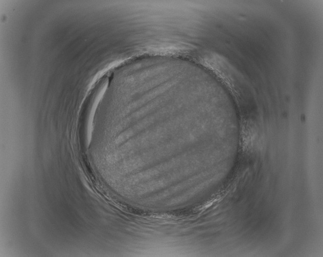 X0000080120583200701051356