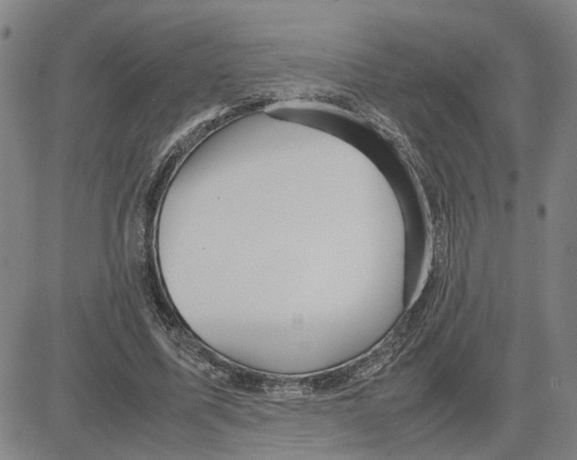 X0000080120587200701051356