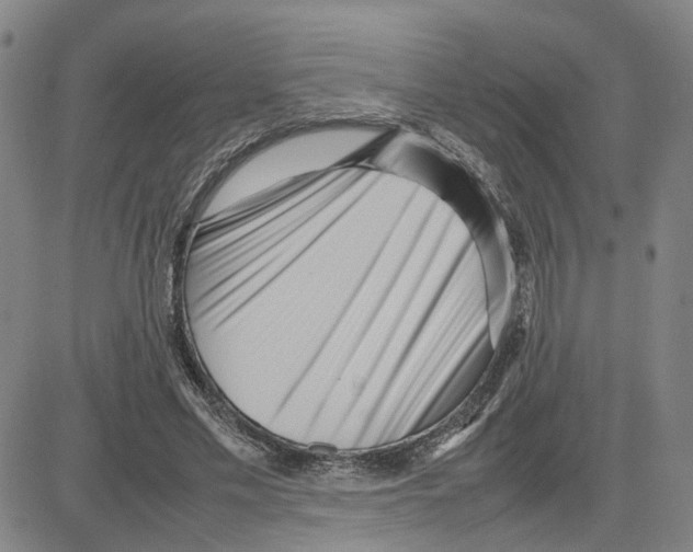 X0000080120589200701051356