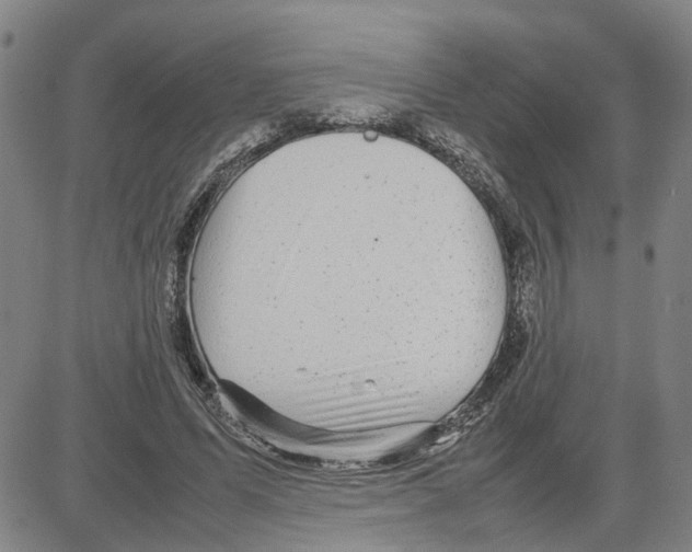 X0000080120591200701051356