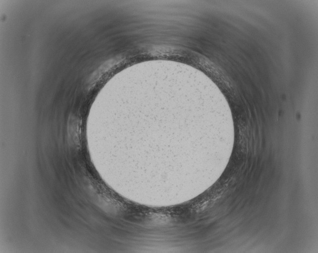 X0000080120592200701051356