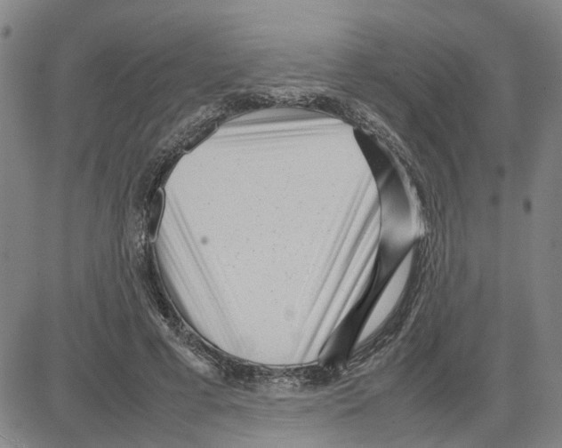 X0000080120593200701051356