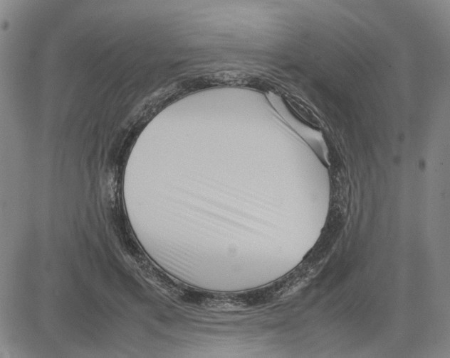 X0000080120597200701051356