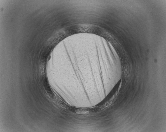 X0000080120602200701051356