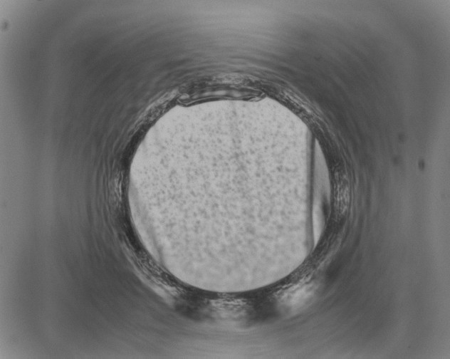 X0000080120603200701051356