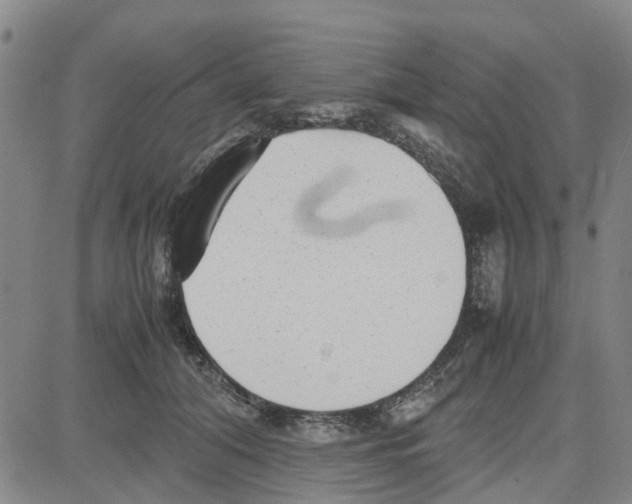 X0000080120608200701051356