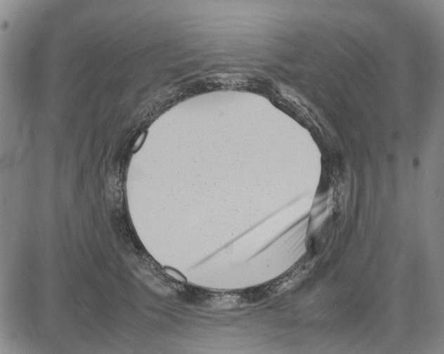 X0000080120609200701051356