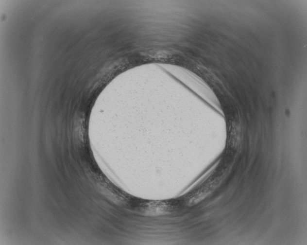 X0000080120612200701051356
