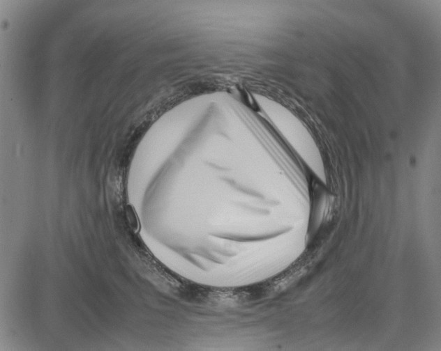 X0000080120613200701051356